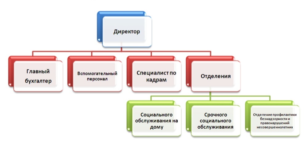 Структура организации